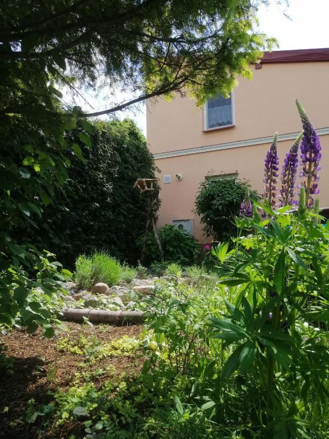 MV Apartamenty Komfort Augustów Eksteriør bilde