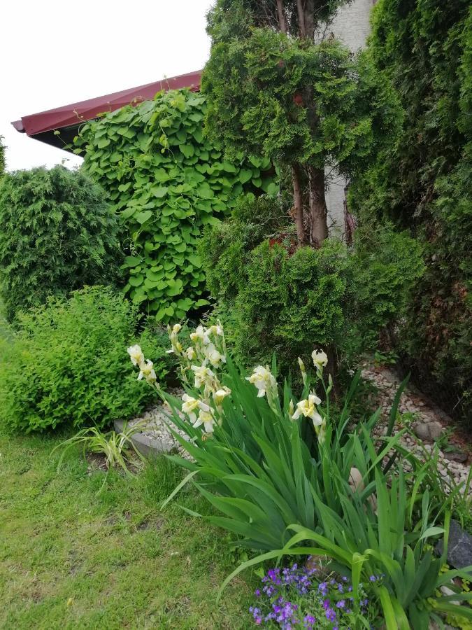 MV Apartamenty Komfort Augustów Eksteriør bilde